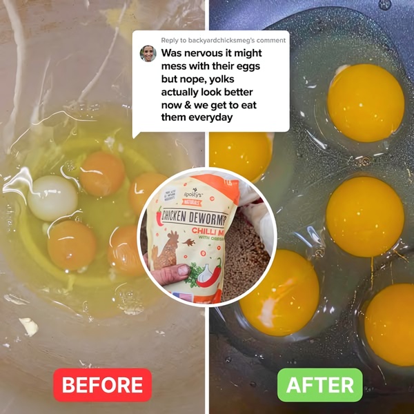 A split-screen image showing egg quality before and after using a natural deworming supplement, validated by a customer review.